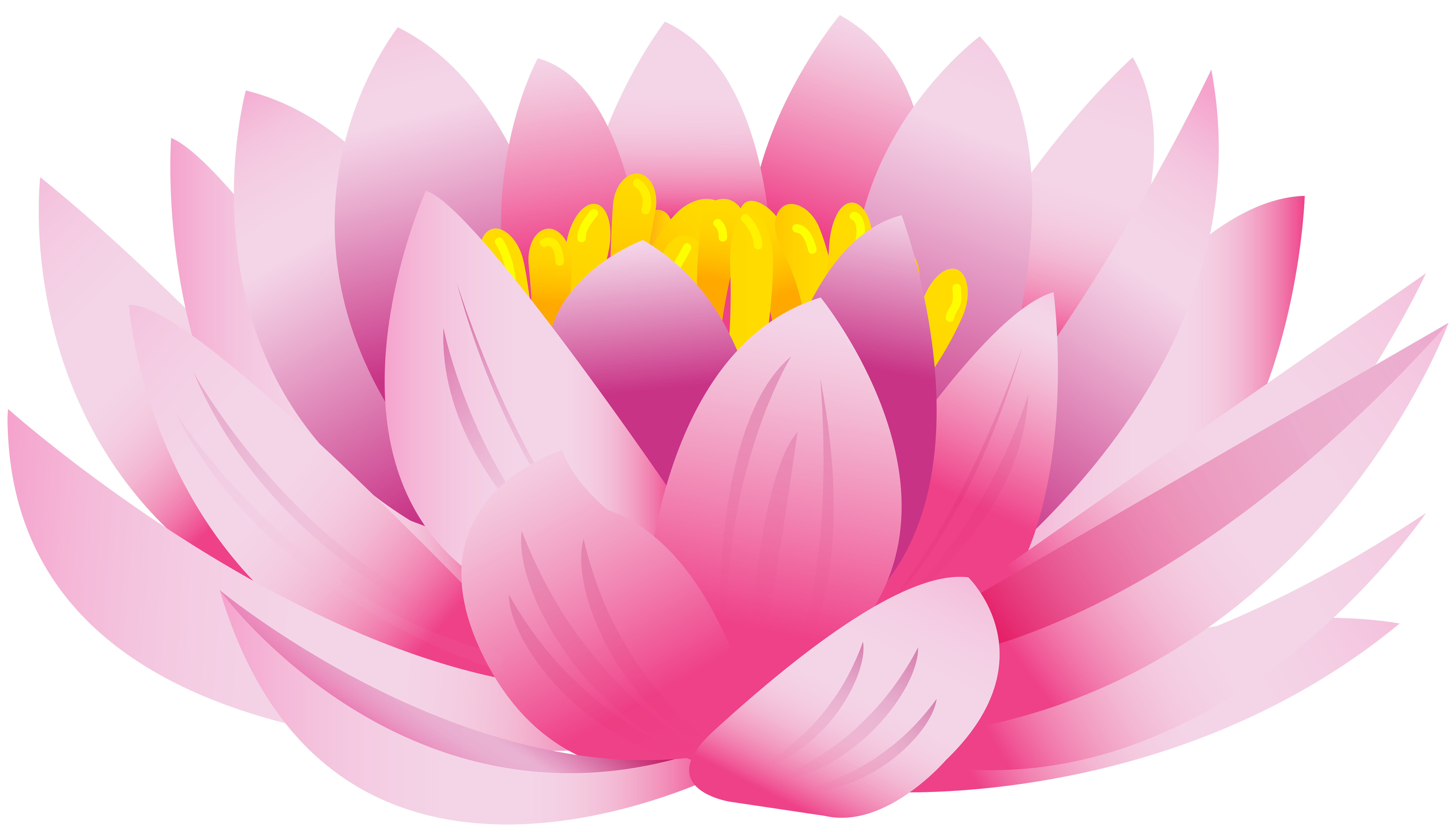 Lotus Flower PNG Clip Art Image