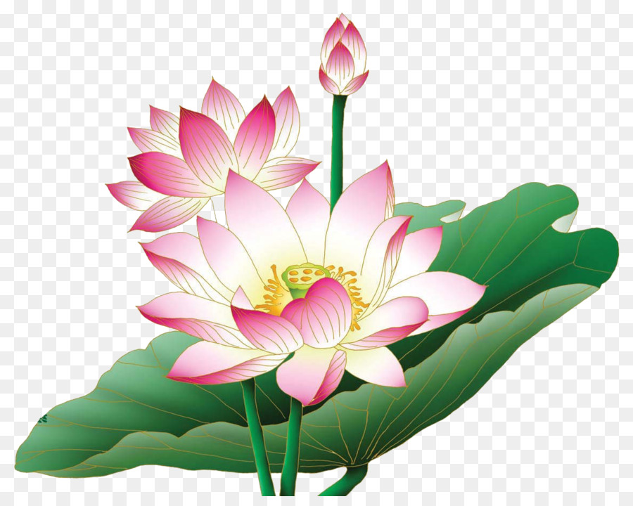 clipart images of flowers lotus
