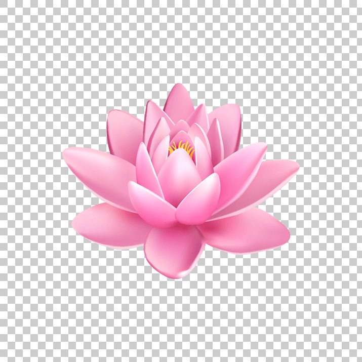 Lotus flower clipart.