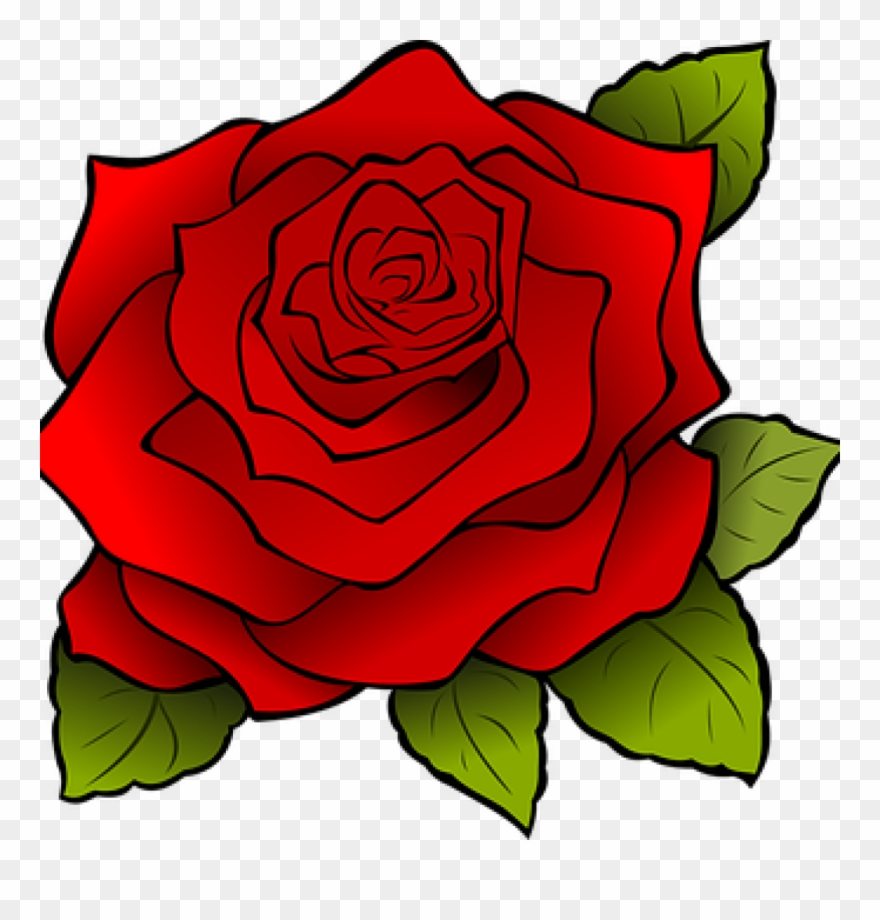 Rose Graphics Free Flowers Vector Graphics Pixabay