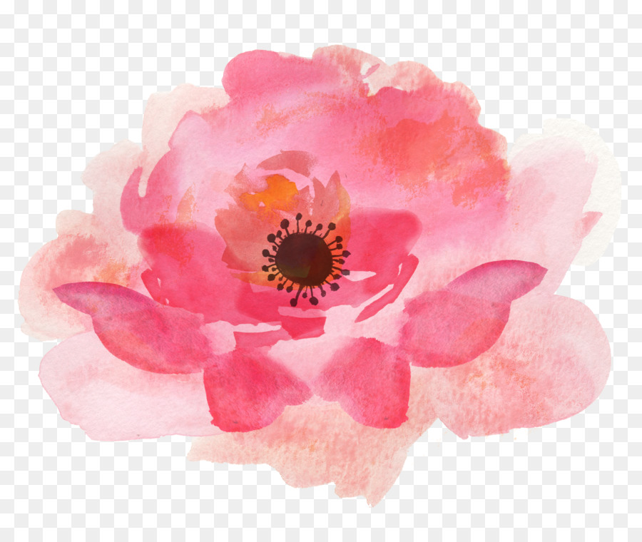Watercolor Pink Flowers clipart