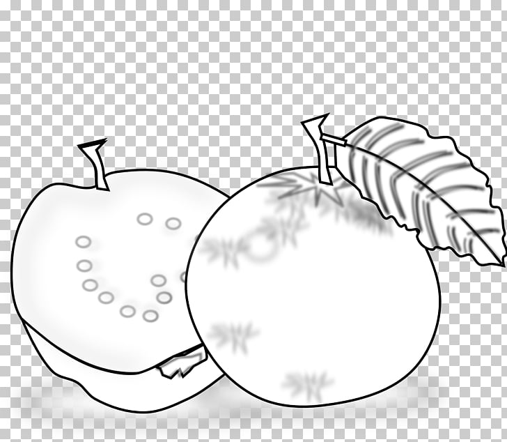 Black and white Guava Drawing , Inkscape s PNG clipart