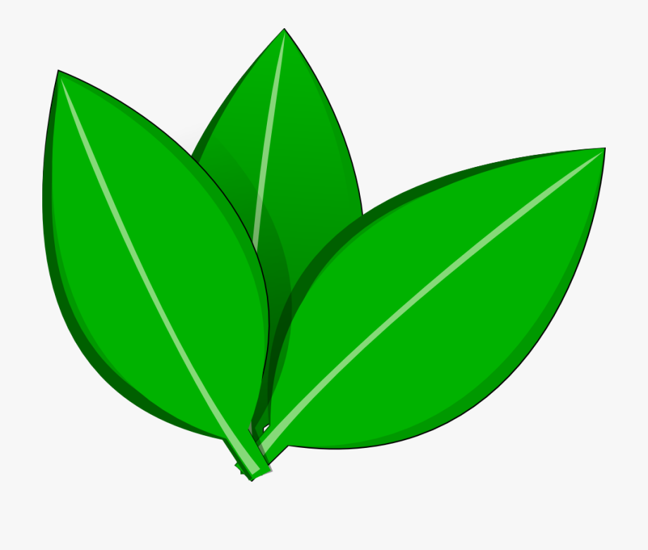 Vector Leaves Inkscape By Dyreryft On Clipart Library
