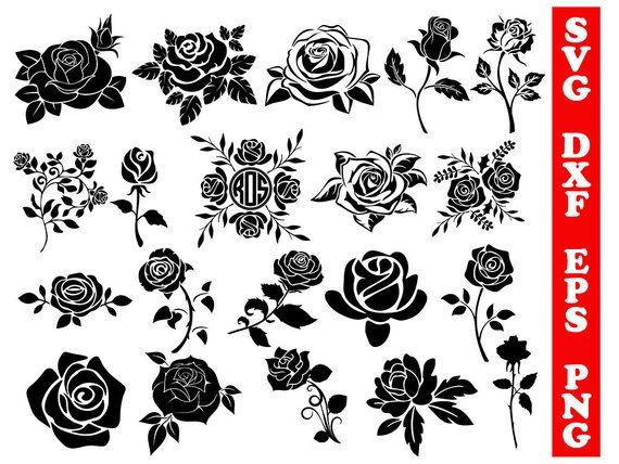 Roses svg, roses dxf, cricut rose, rose silhouette, roses