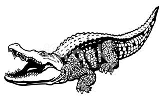 Crocodile Black White imagens vetoriais