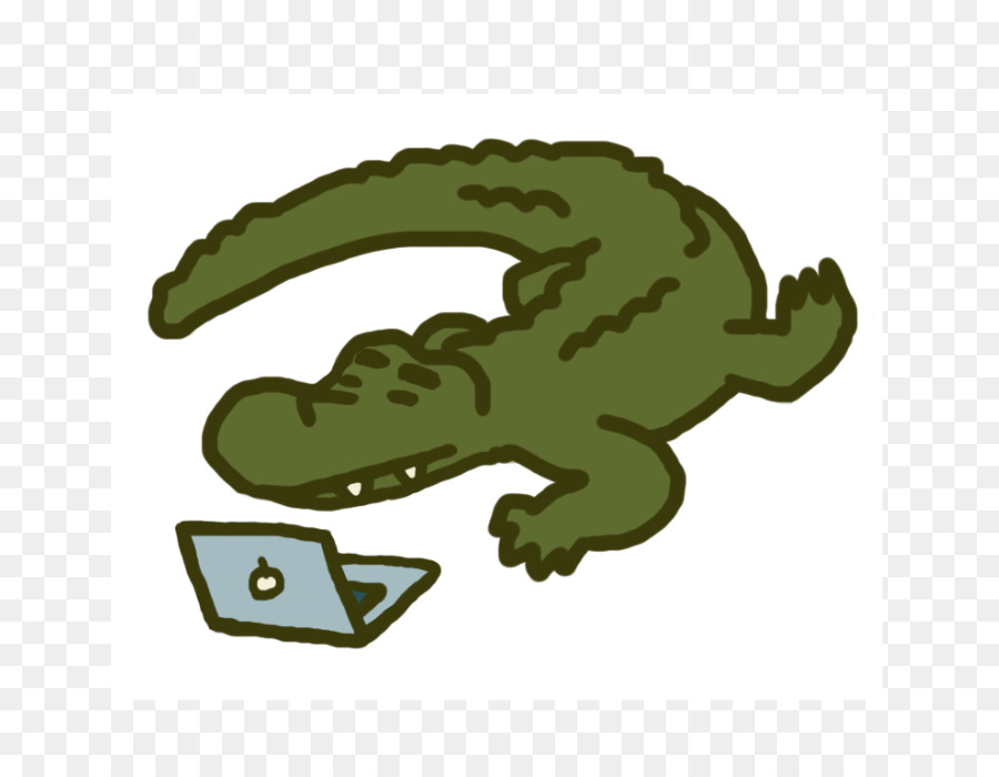 Alligators blog crocodile.