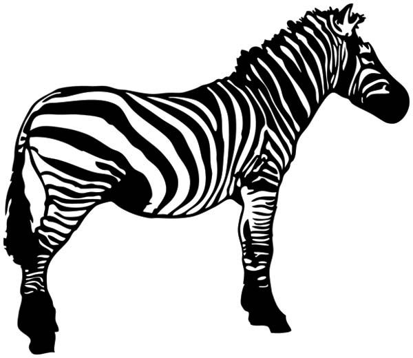 Zebra clipart free.