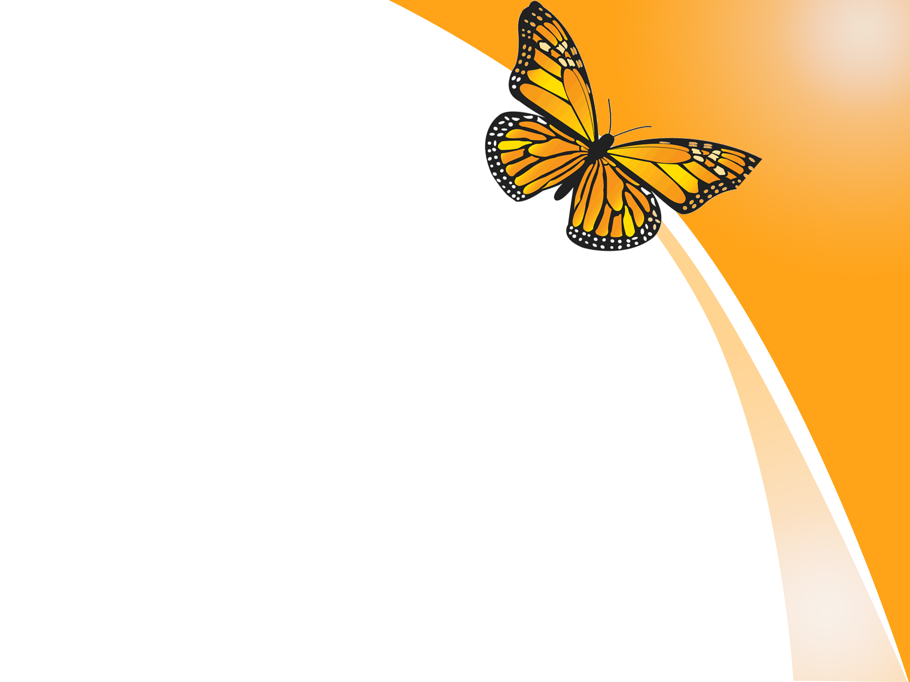 Free butterfly background.