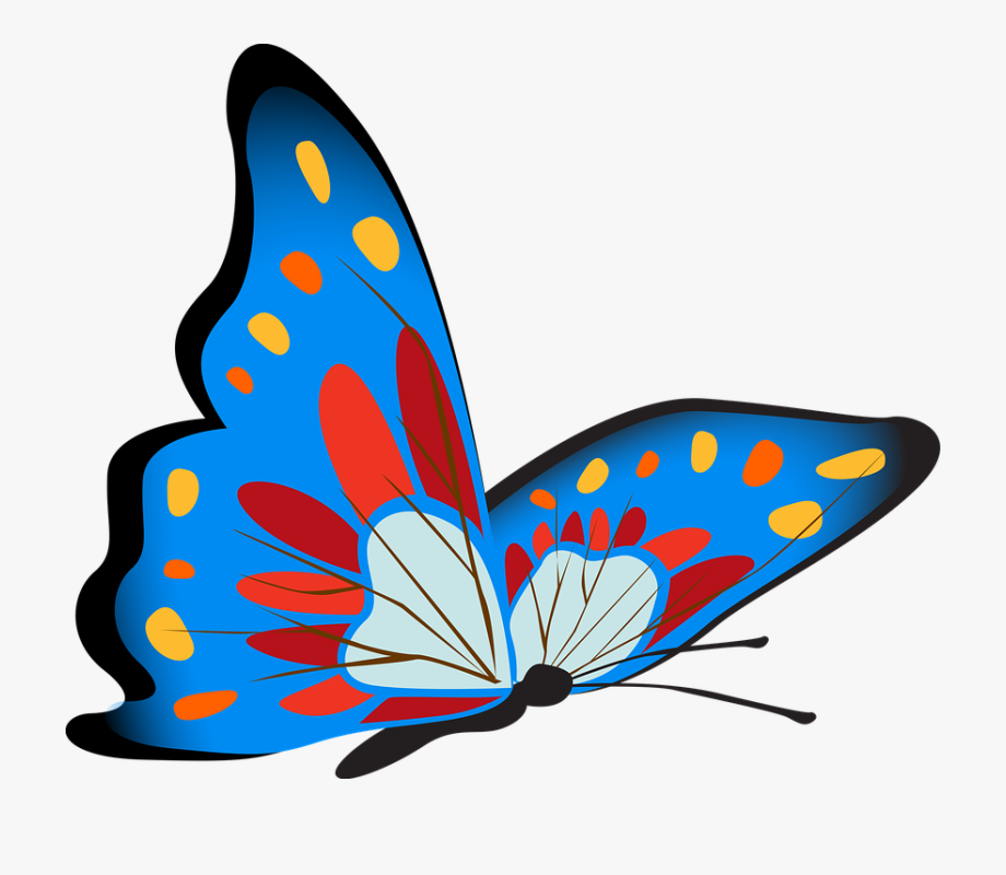 clipart kupu kupu biru
