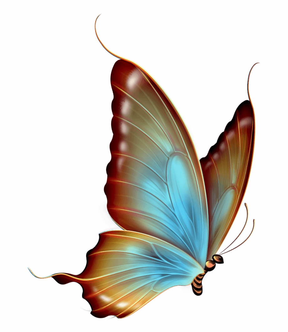 Swimming Butterfly Clipart Transparent