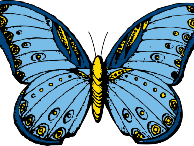 Monarch butterfly clipart.