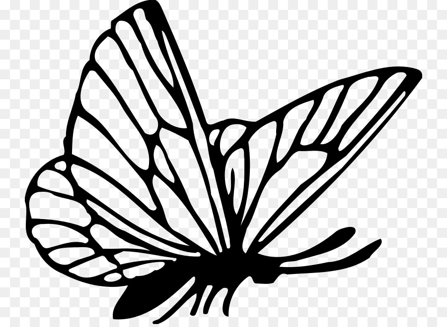 Clipart kupu  kupu  butterfly flying pictures on Cliparts 