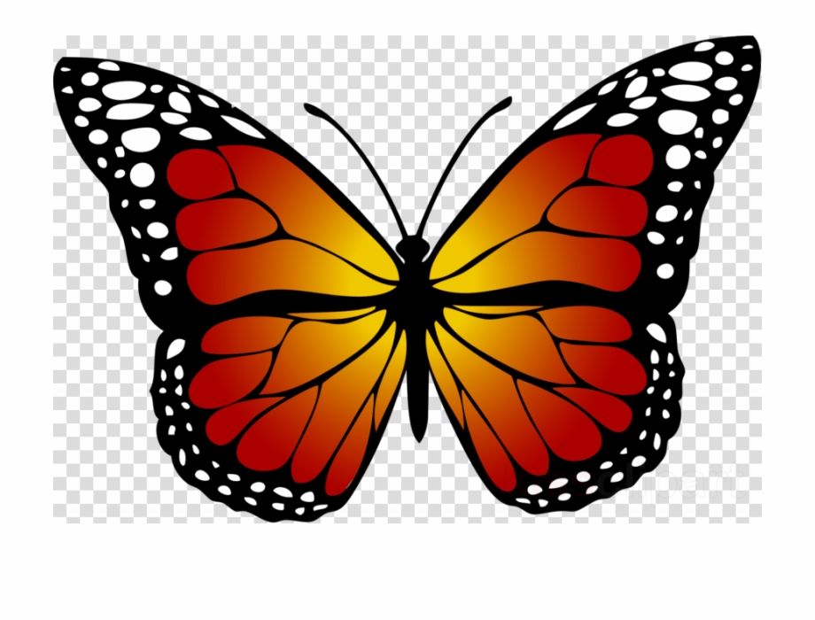 Yellow Butterfly Clipart Butterfly Insect Clip Art