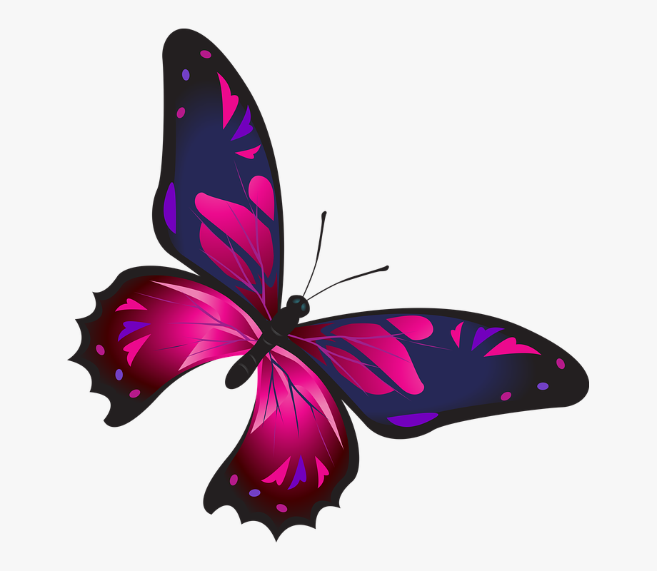 Rainbow Butterfly Clipart Png Format