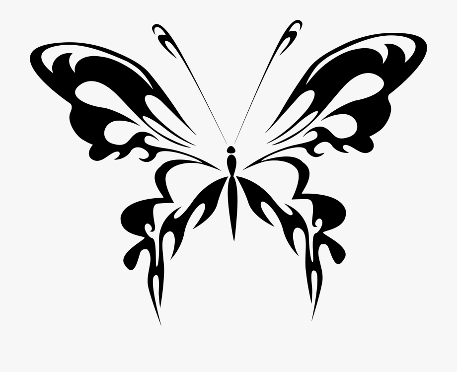 Butterfly line art.