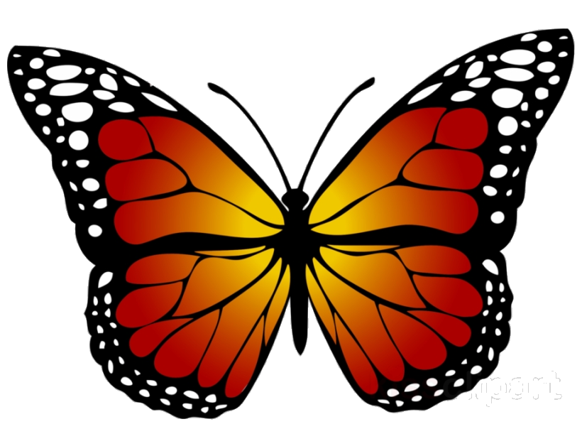 Butterfly yellow clipart.