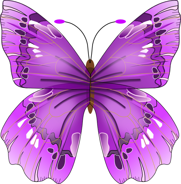 Butterfly Clip Art at Clker