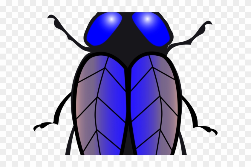 Fly clipart beetle.