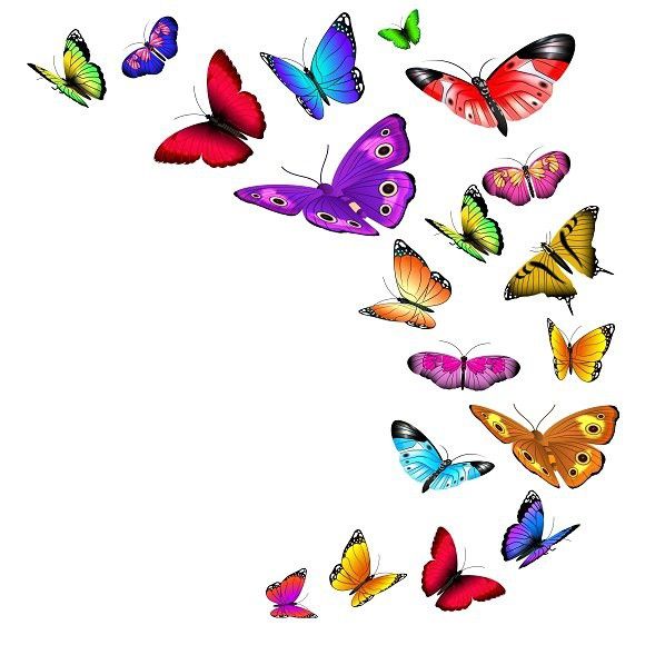Flying butterflies butterfly.