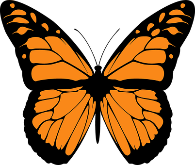 clipart képek butterfly