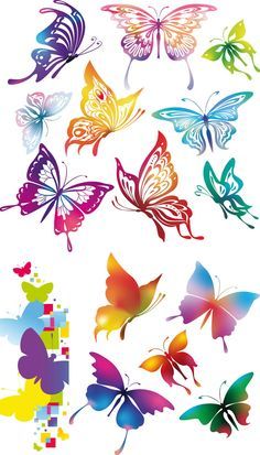 Colorful butterflies vector