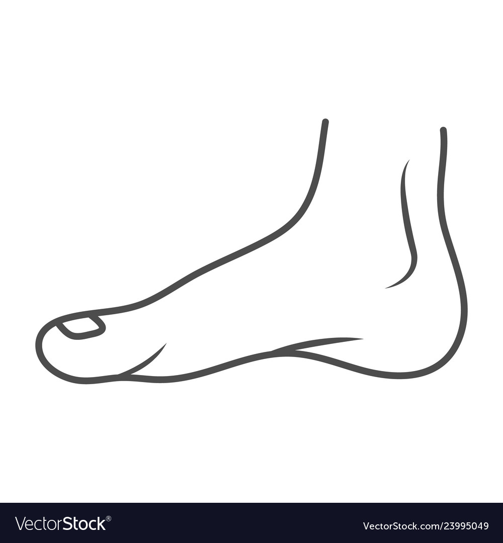 Human leg ankle.