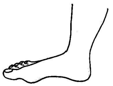 clipart leg ankle