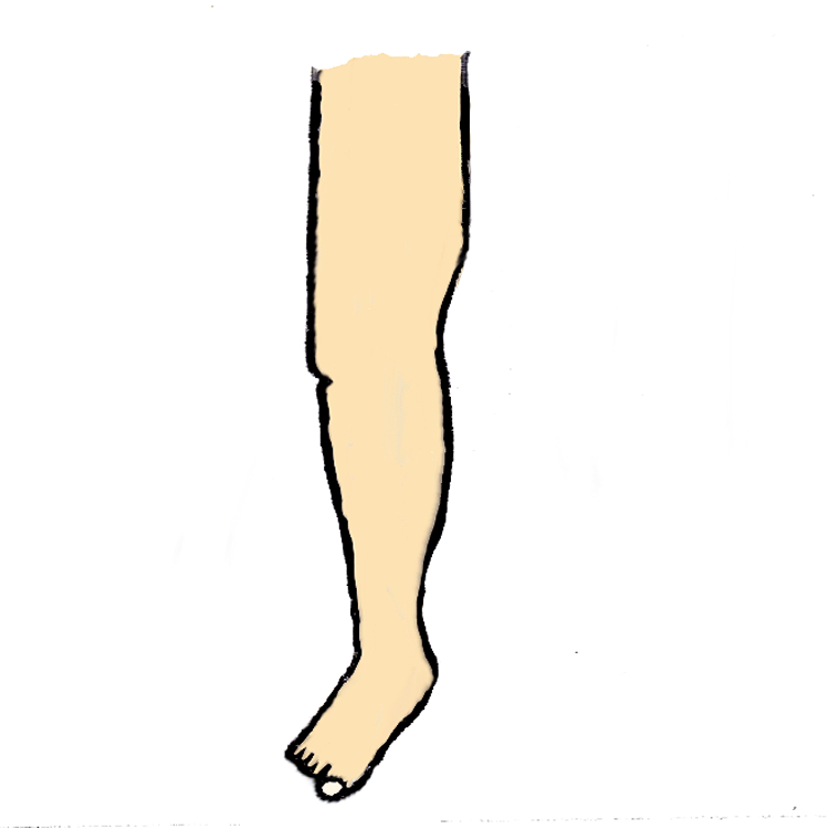 Leg body parts.