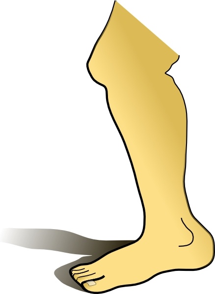 Leg clip art Free vector in Open office drawing svg