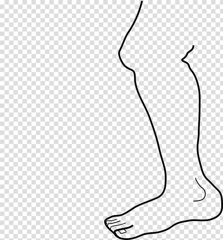 Human leg Coloring book Foot Human body , Leg transparent