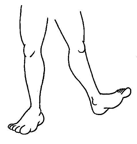 clipart leg human
