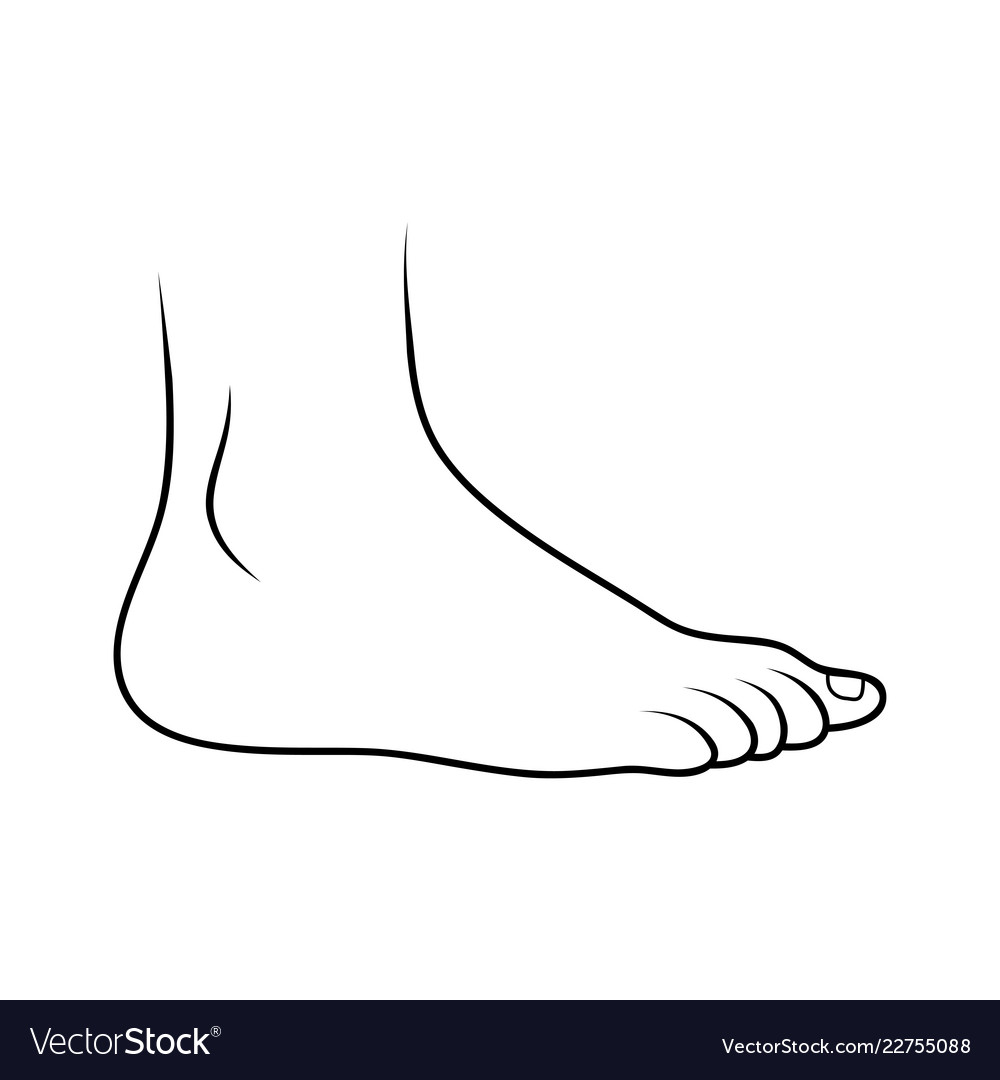 Legs Clipart foot outline