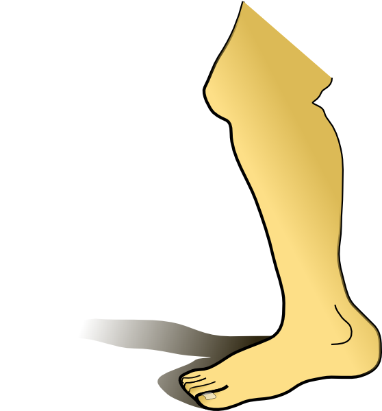 Right ankle clipart.