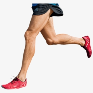 Legs Clipart Muscle Leg