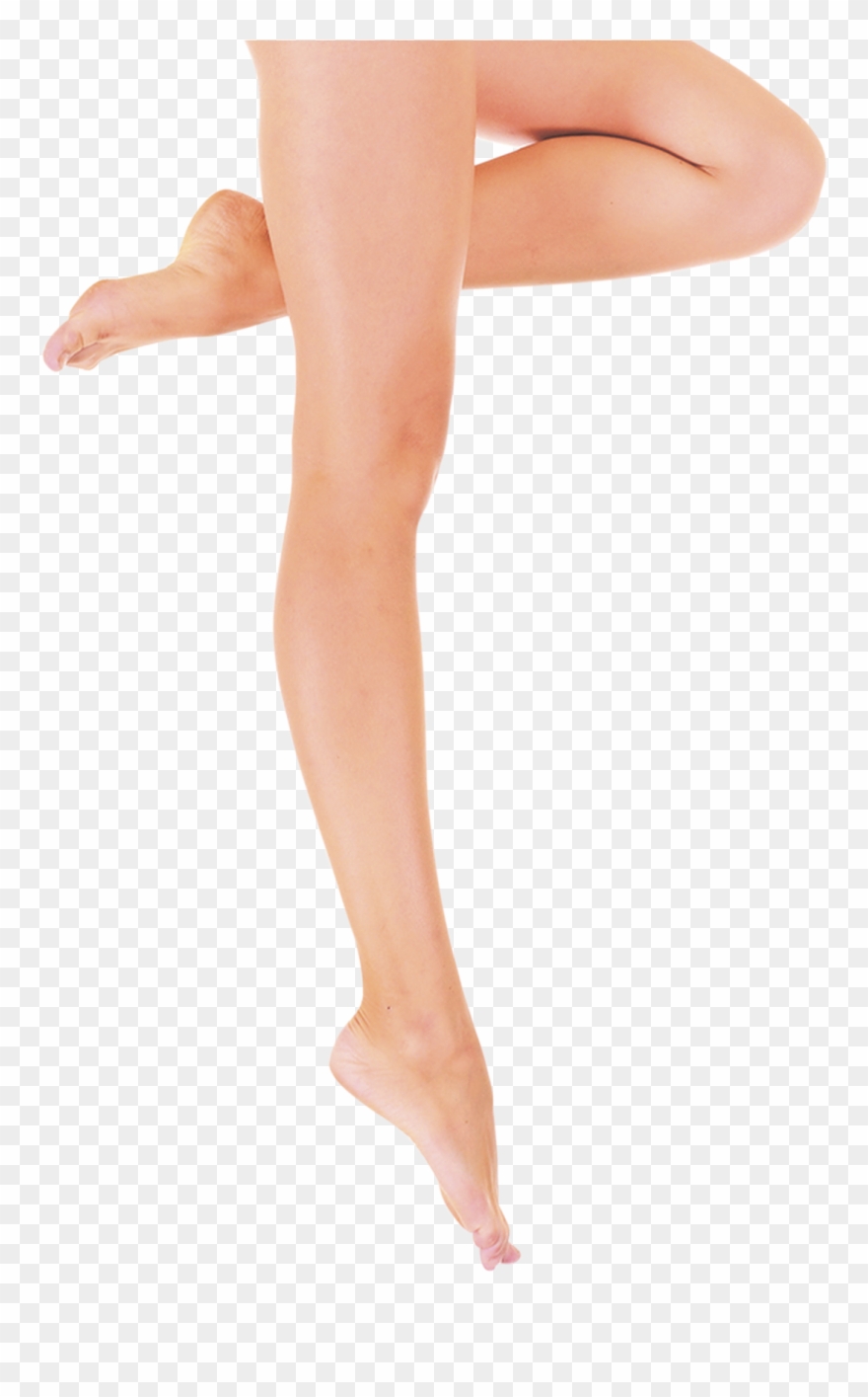Female Leg Clipart Png