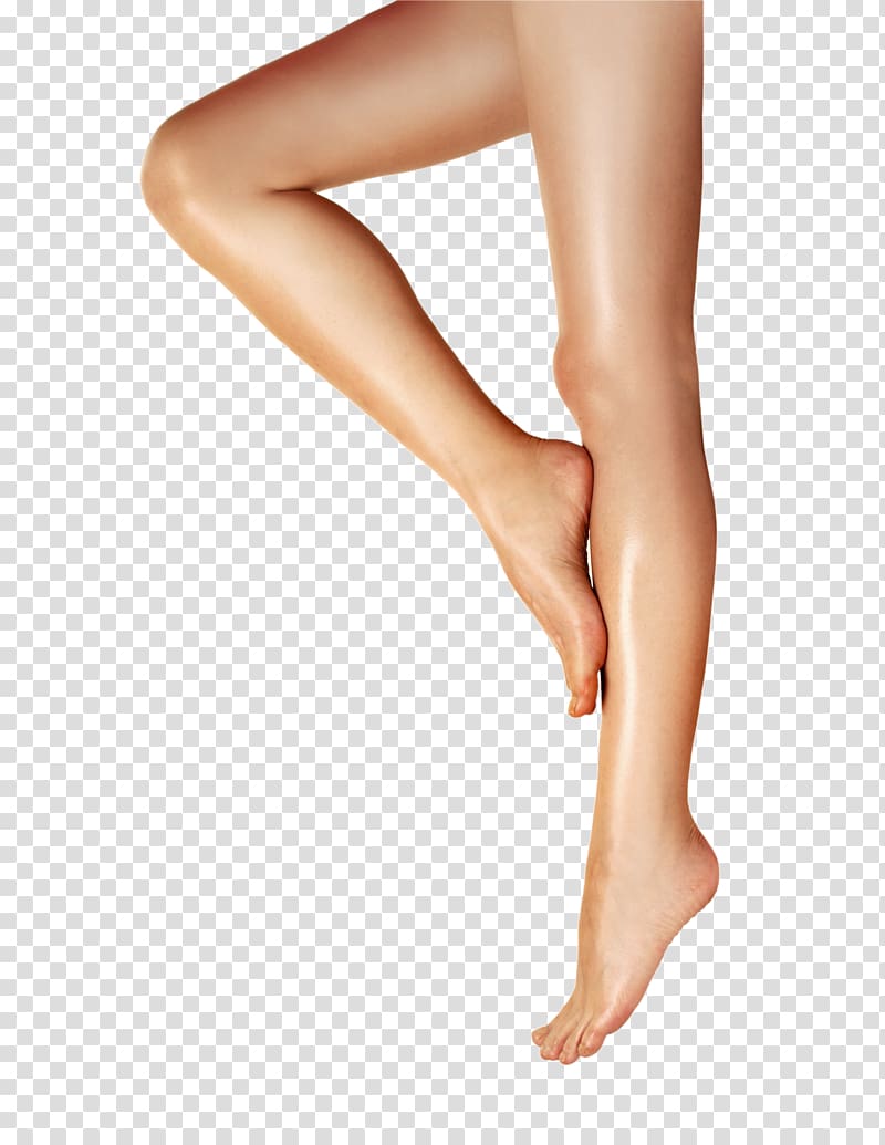 Legs Free transparent background PNG clipart