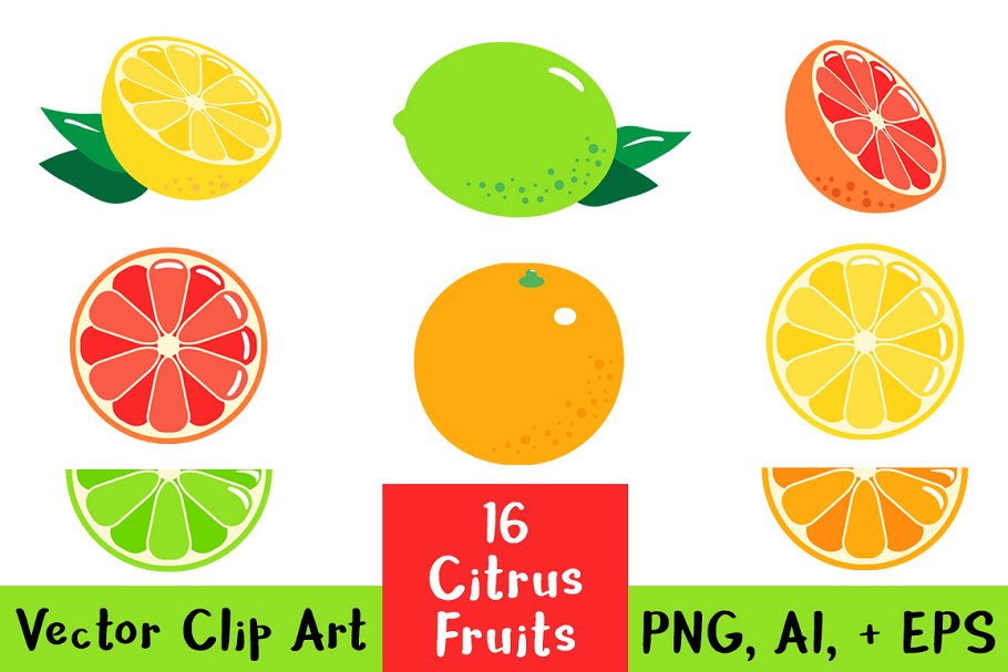 Citrus fruits clipart.