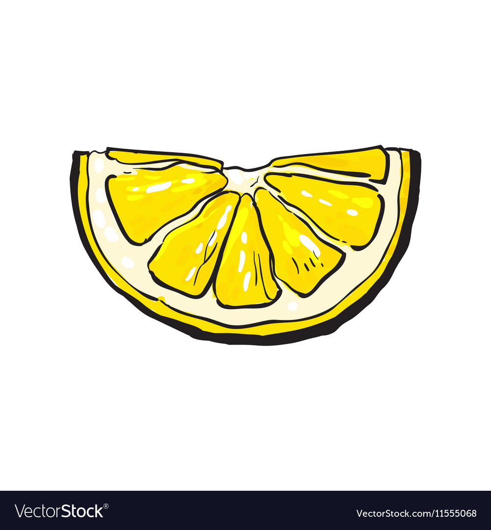 Hand drawn slice of lemon isolated