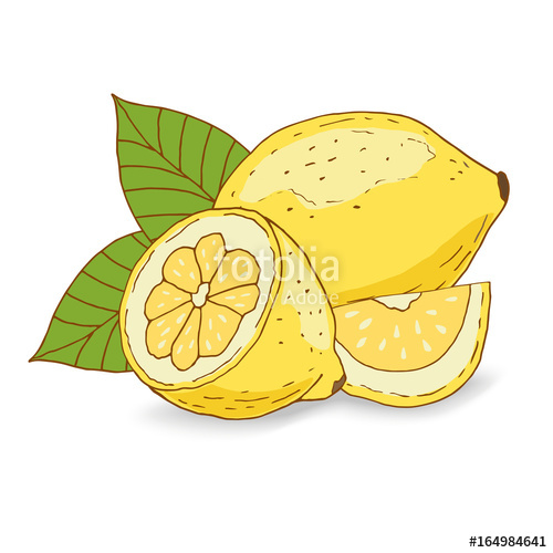 Hand drawn lemon, lemon slice and green leaves on a white