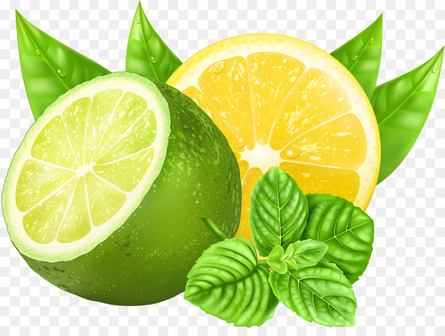 Lemon lime vector.