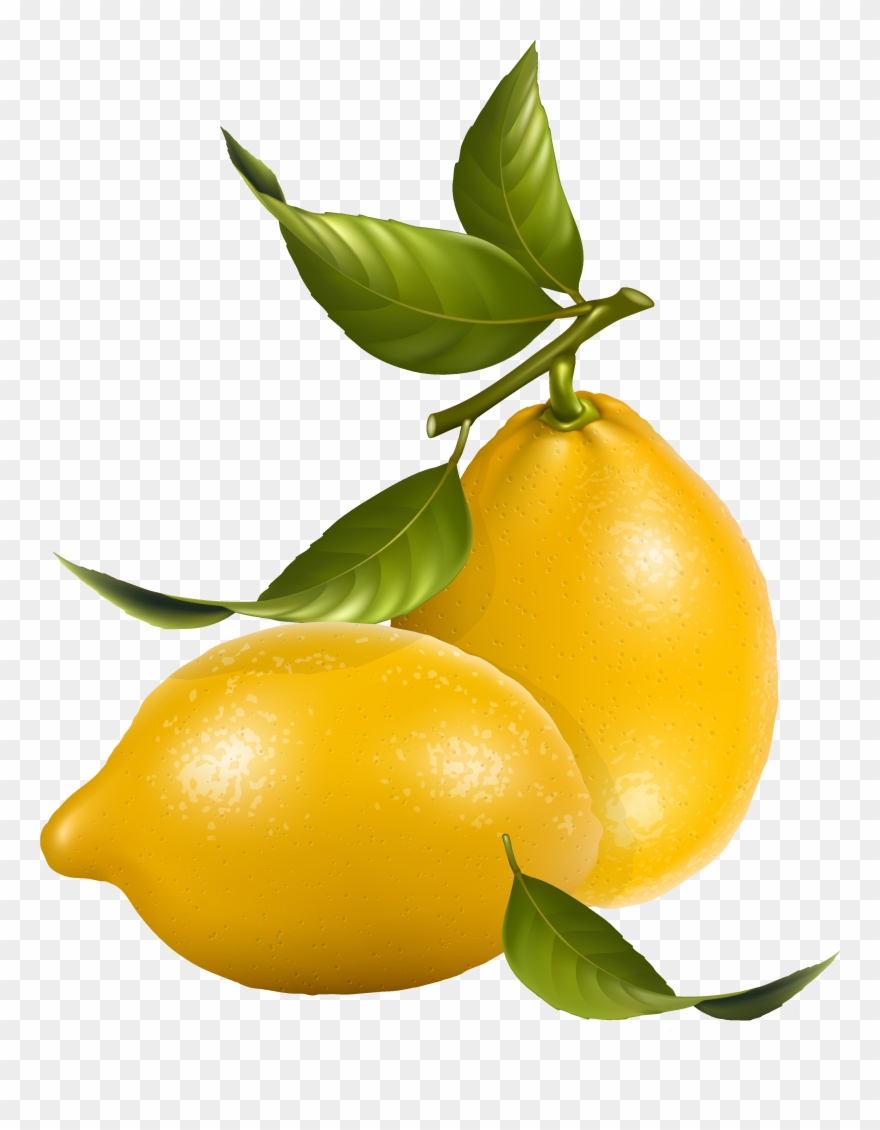 clipart lemon royalty free