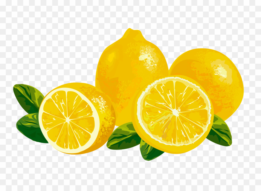 Lemon vector png.