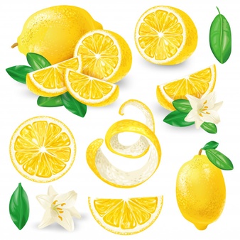 clipart lemon vector