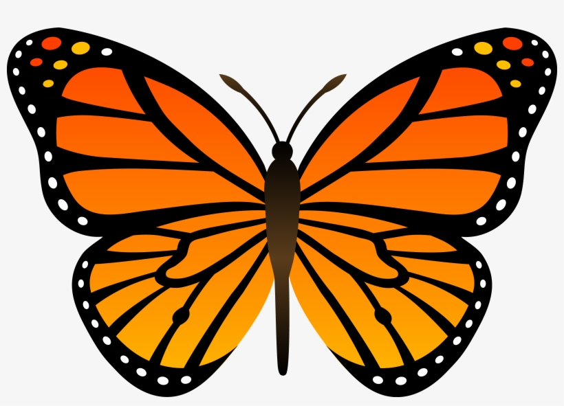 Monarch butterflies clipart.