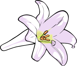 clipart lilies clip art