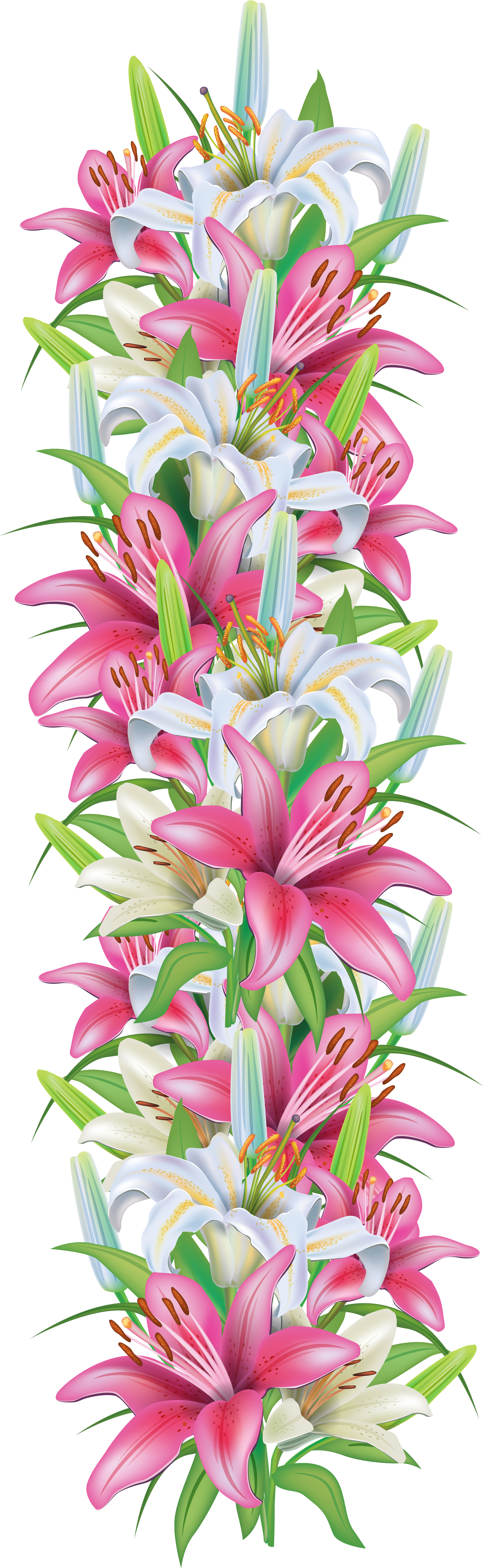 Pink And White Lilies Decoration Border Png Clipart
