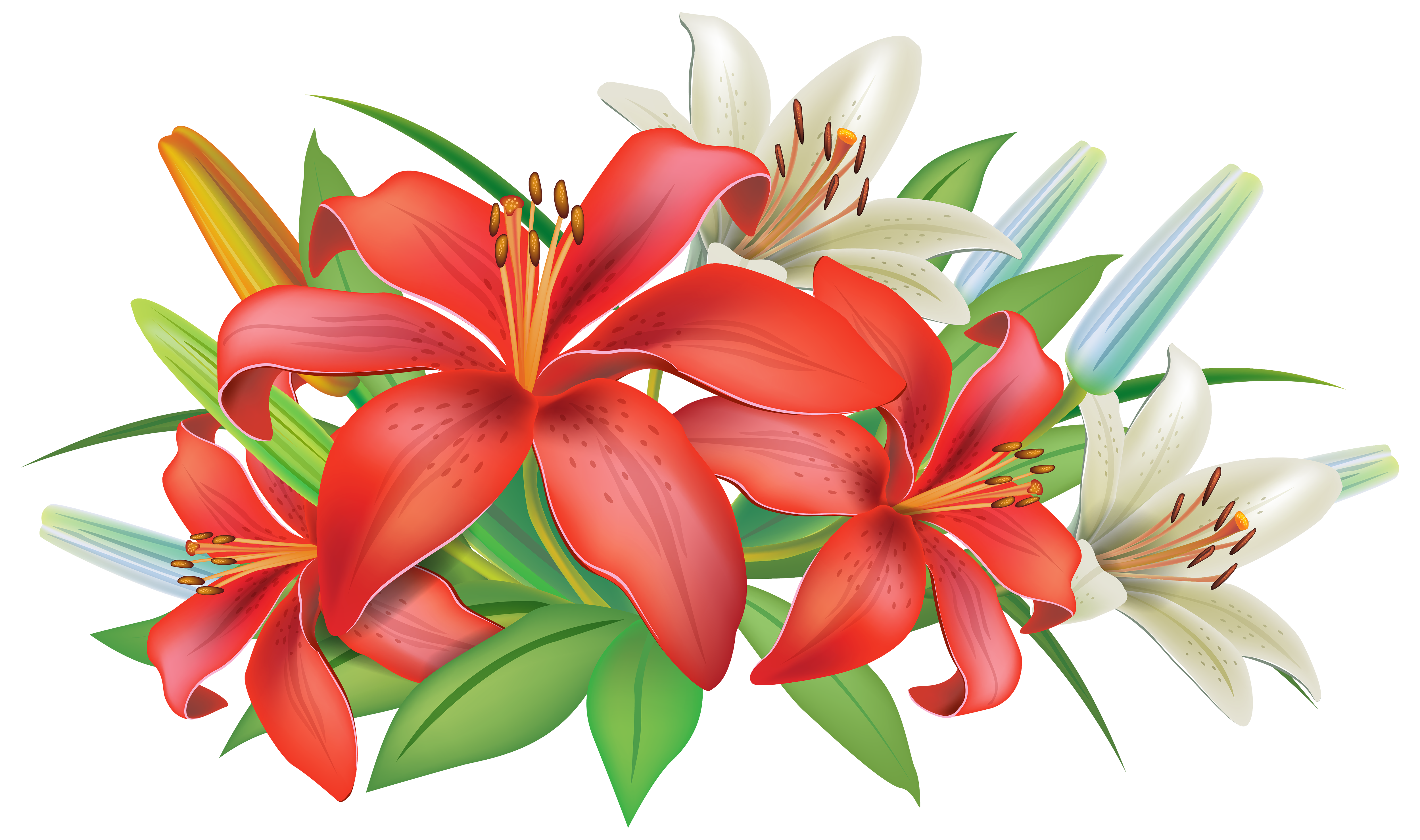 Red lilies flowers.