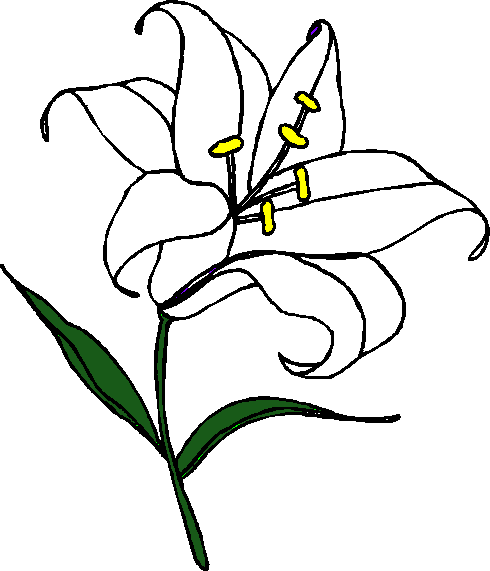 Free Easter Lily Cliparts, Download Free Clip Art, Free Clip