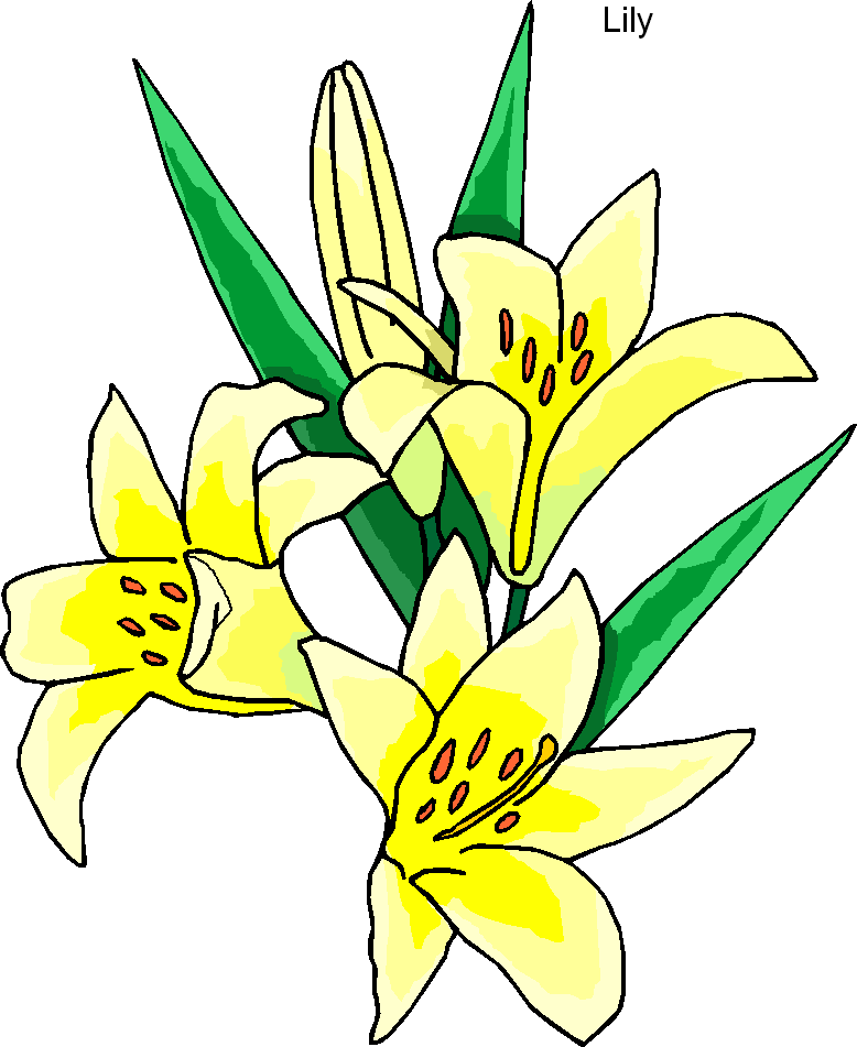 Free Lilies Art, Download Free Clip Art, Free Clip Art on