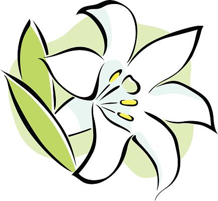 Lily clipart, Lily Transparent FREE for download on